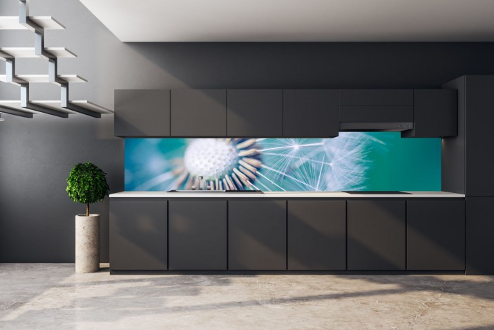 Panel szklany do kuchni  14587 dmuchawiec