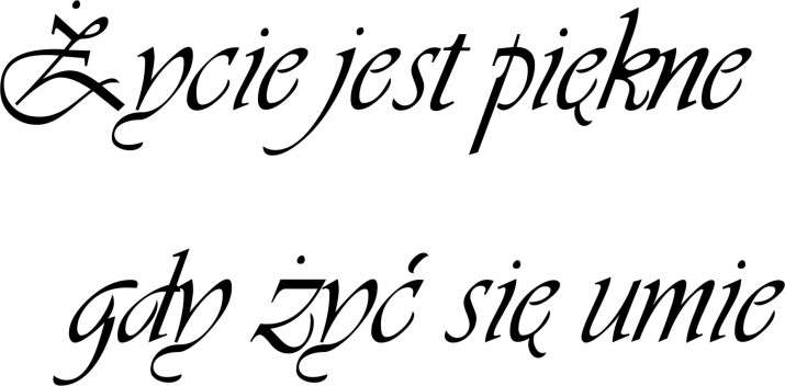 695 Napisy na ścianę naklejka ścienna Życie jest piękne gdy żyć się umie - zdjęcie 2