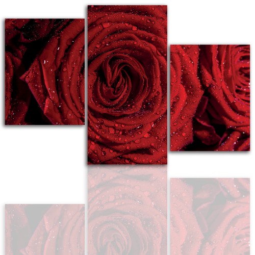 Tryptyk do salonu - Kwiaty, róże, pąk 12111 Naklejkomania - zdjecie 1