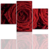 Tryptyk do salonu - Kwiaty, róże, pąk 12111 Naklejkomania - zdjecie 1 - miniatura