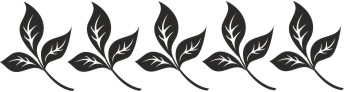 Bordery na ścianę, motyw 5075 - zdjęcie 2