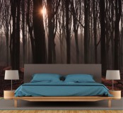 Fototapeta na ścianę tapeta na fizelinie do sypialni Poranek w lesie 10514 Naklejkomania - zdjecie 1 - miniatura