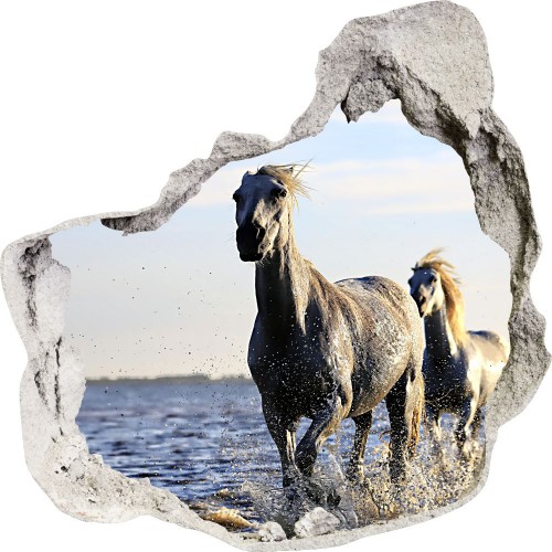 Naklejka na ścianę, dziura 3D koń galop jezioro 3561 Naklejkomania - zdjecie 1
