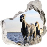 Naklejka na ścianę, dziura 3D koń galop jezioro 3561 Naklejkomania - zdjecie 1 - miniatura