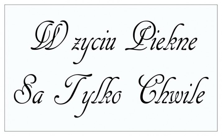 637Naklejki napisy na ścianę  W życiu piękne są tylko chwilę - zdjęcie 2