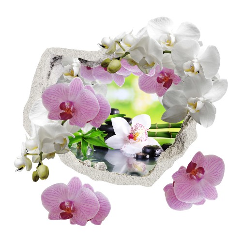 Naklejka na ścianę, dziura 3D kwiaty orchidea storczyki 2411 Naklejkomania - zdjecie 1