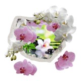 Naklejka na ścianę, dziura 3D kwiaty orchidea storczyki 2411 Naklejkomania - zdjecie 1 - miniatura