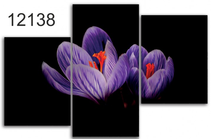 Tryptyk do salonu - Kwiaty, krokus 12138 Naklejkomania - zdjecie 1