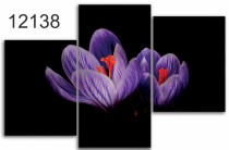 Tryptyk do salonu - Kwiaty, krokus 12138 Naklejkomania - zdjecie 1 - miniatura