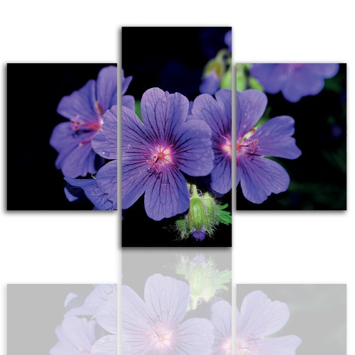Tryptyk do salonu -  Kwiaty, roślina, pąk 12058 Naklejkomania - zdjecie 1