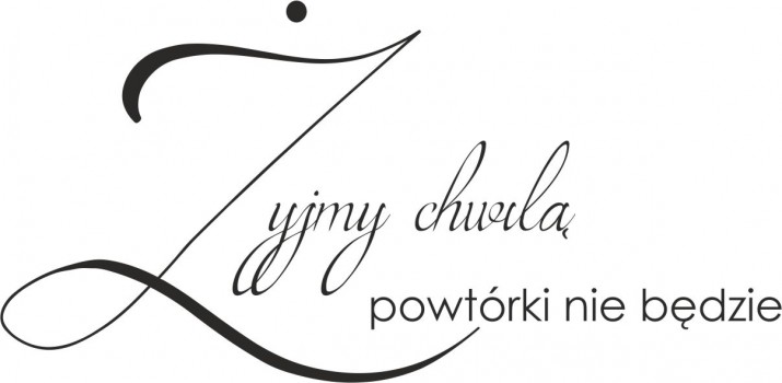 790 Napisy ścienne naklejka na ścianę Żyjmy chwilą powtórki nie będzie - zdjęcie 2