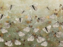 Fototapeta fototapety na ścianę 9691 motyle Naklejkomania - zdjecie 2 - miniatura