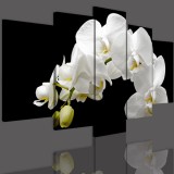 Obrazy 5 częściowe- Orchidea, storczyk, zen 12287 Naklejkomania - zdjecie 3 - miniatura
