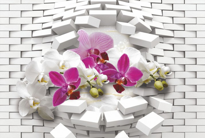 Fototapety Fototapeta na ścianę 10489 orchidea ściana 3d - zdjęcie 2