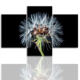 Tryptyk do salonu - Kwiaty, roślina, dmuchawiec 12055 Naklejkomania - zdjecie 1 - miniatura