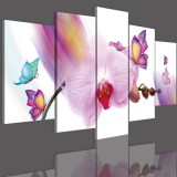 Obrazy 5 częściowe- Nowoczesny, motyle, kolory, storczyk 12304 Naklejkomania - zdjecie 3 - miniatura