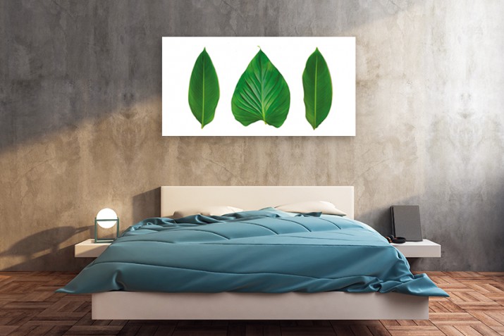 Obraz na ścianę do sypialni salonu monstera 41212 - zdjęcie 3