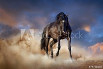 Beautiful black stallion run in desert dust against sunset sky Naklejkomania - zdjecie 1 - miniatura