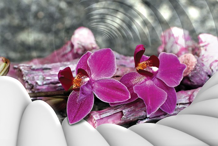 Fototapeta na ścianę tapeta na fizelinie do salonu Muśnięcie orchideą 10128 - zdjęcie 2
