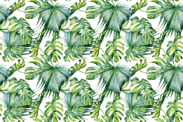 Fototapeta na ścianę liście monstera 126979238 - zdjęcie 2