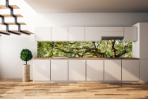 Panel szklany do kuchni  14386 drzewo Naklejkomania - zdjecie 1 - miniatura