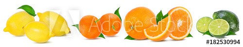 .Citrus Fruit Set (tangerine, orange, lime, lemon) isolated on white background. - zdjęcie 1