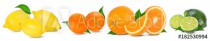 .Citrus Fruit Set (tangerine, orange, lime, lemon) isolated on white background. Naklejkomania - zdjecie 1 - miniatura