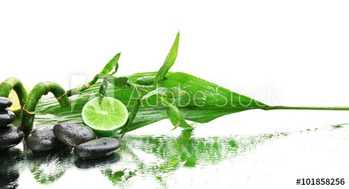 Beautiful spa composition on white background, close up - zdjęcie 1