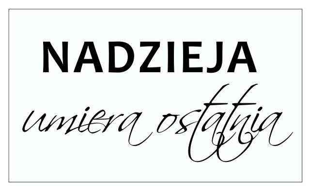 627 Napisy na ścianę naklejka dekoracyjna Nadzieja umiera ostatnia - zdjęcie 2