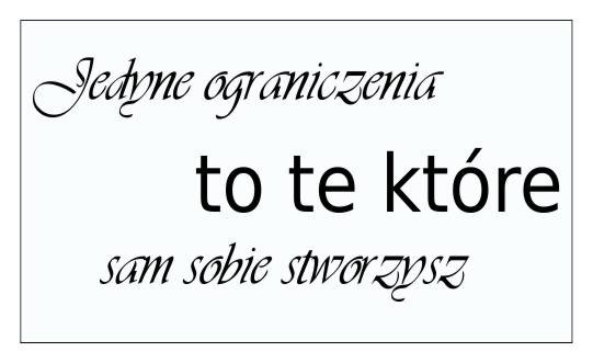 624 Napisy ścienne naklejki dekoracyjne Jedyne ograniczenia to te które sam sobie stworzysz - zdjęcie 2
