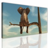 Obraz ścienny canvas na ramie 15164 odpoczywający słoń Naklejkomania - zdjecie 1 - miniatura