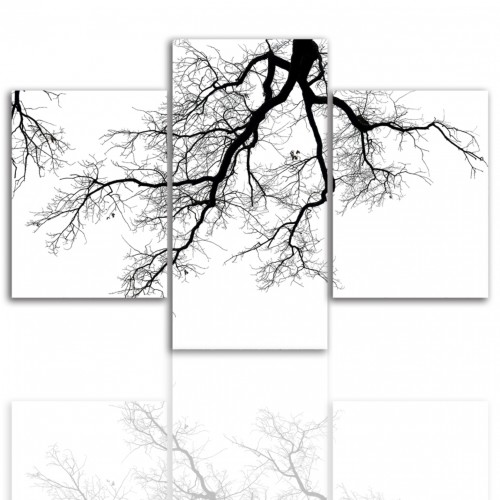 Tryptyk do salonu - Obraz, drzewo, gałęzie, czerń i biel 12179 Naklejkomania - zdjecie 1