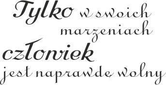680 Naklejki na ścianę napisy ścienne Tylko w swoich marzeniach człowiek jest naprawdę wolny - zdjęcie 2
