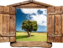 Naklejka na ścianę, dziura 3D drewniane okno łąka drzewo 1008 Naklejkomania - zdjecie 2 - miniatura
