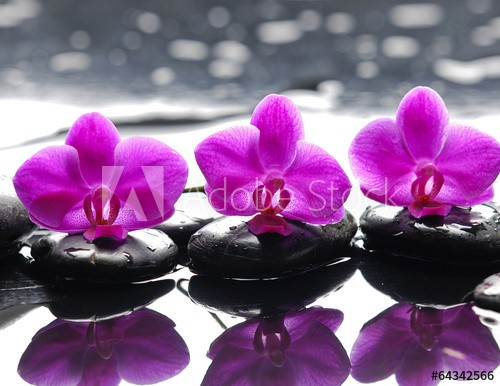 Three orchid flower and stones with reflection in water drops - zdjęcie 1