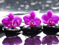 Three orchid flower and stones with reflection in water drops Naklejkomania - zdjecie 1 - miniatura