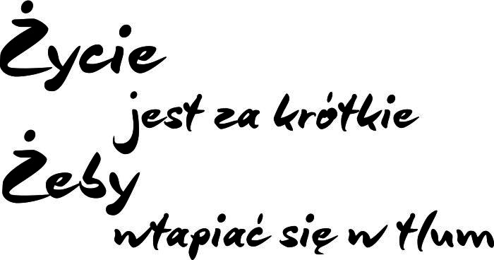 752 Naklejki na ścianę napisy ścienne Życie jest za krótkie żeby wtapiać się w tłum - zdjęcie 2