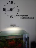 Opinia od Grażyna