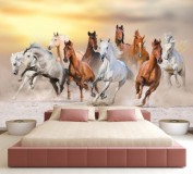 Fototapety na ścianę koń 118235999 konie w galopie Naklejkomania - zdjecie 1 - miniatura