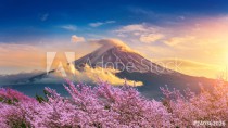 Fuji mountain and cherry blossoms in spring, Japan. Naklejkomania - zdjecie 1 - miniatura