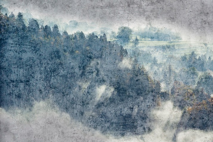Fototapety Fotatapeta na ściane las 41491 - zdjęcie 2