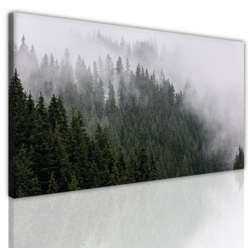 Obraz jednoczęściowy na ścianę  15174 las w mgle Naklejkomania - zdjecie 1