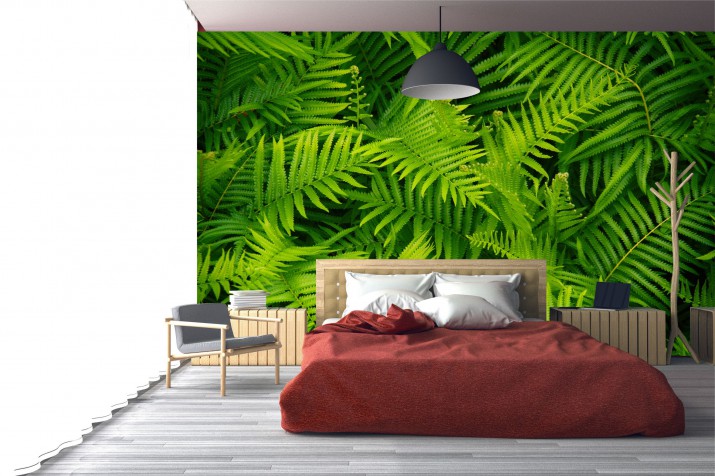 Tapeta na ścianę samoprzylepna 182803082 liście zieleń las paprotka