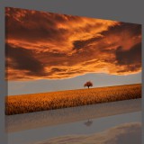 Obraz na ramie płótno canvas- pejzaż, zachód słońca, łąka 15069 Naklejkomania - zdjecie 3 - miniatura