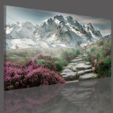 Obraz na ramie płótno canvas- pejzaż, góry, szlak, droga 15063 Naklejkomania - zdjecie 3 - miniatura