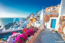 Santorini, Greece. Picturesq view of traditional cycladic Santorini houses on small street with flowers in foreground. Location: Oia village, Santorini, Greece. Vacations background. Naklejkomania - zdjecie 1 - miniatura