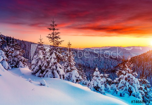 Amazing winter landscape - zdjęcie 1