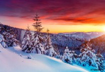 Amazing winter landscape Naklejkomania - zdjecie 1 - miniatura