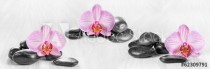 Horizontal panorama with pink orchids and zen stones on a wooden Naklejkomania - zdjecie 1 - miniatura