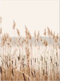 Plakat Sucha trawa, pole, łąka 61136 Naklejkomania - zdjecie 2 - miniatura